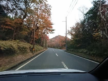 20181128093633688.jpg